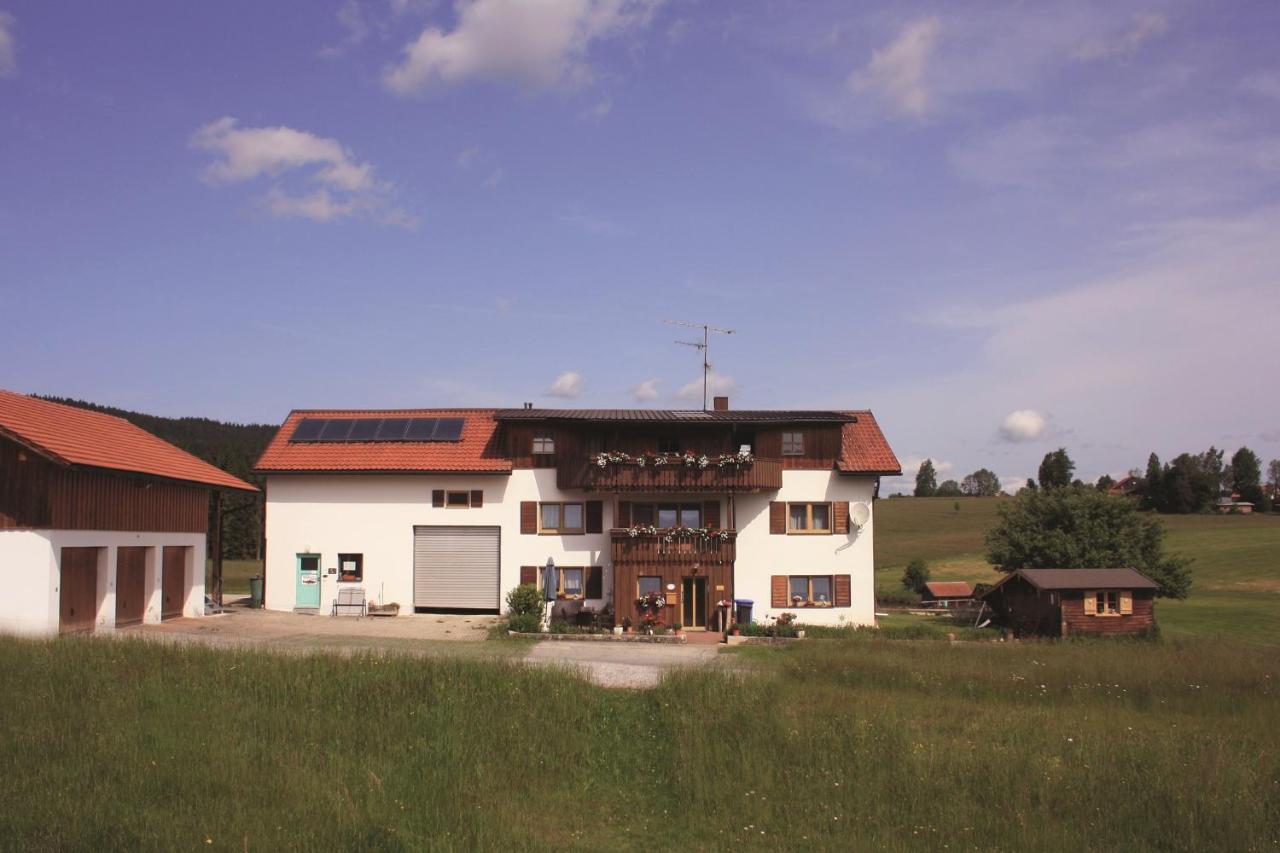 Appartamento Haus Anny Haidmühle Esterno foto